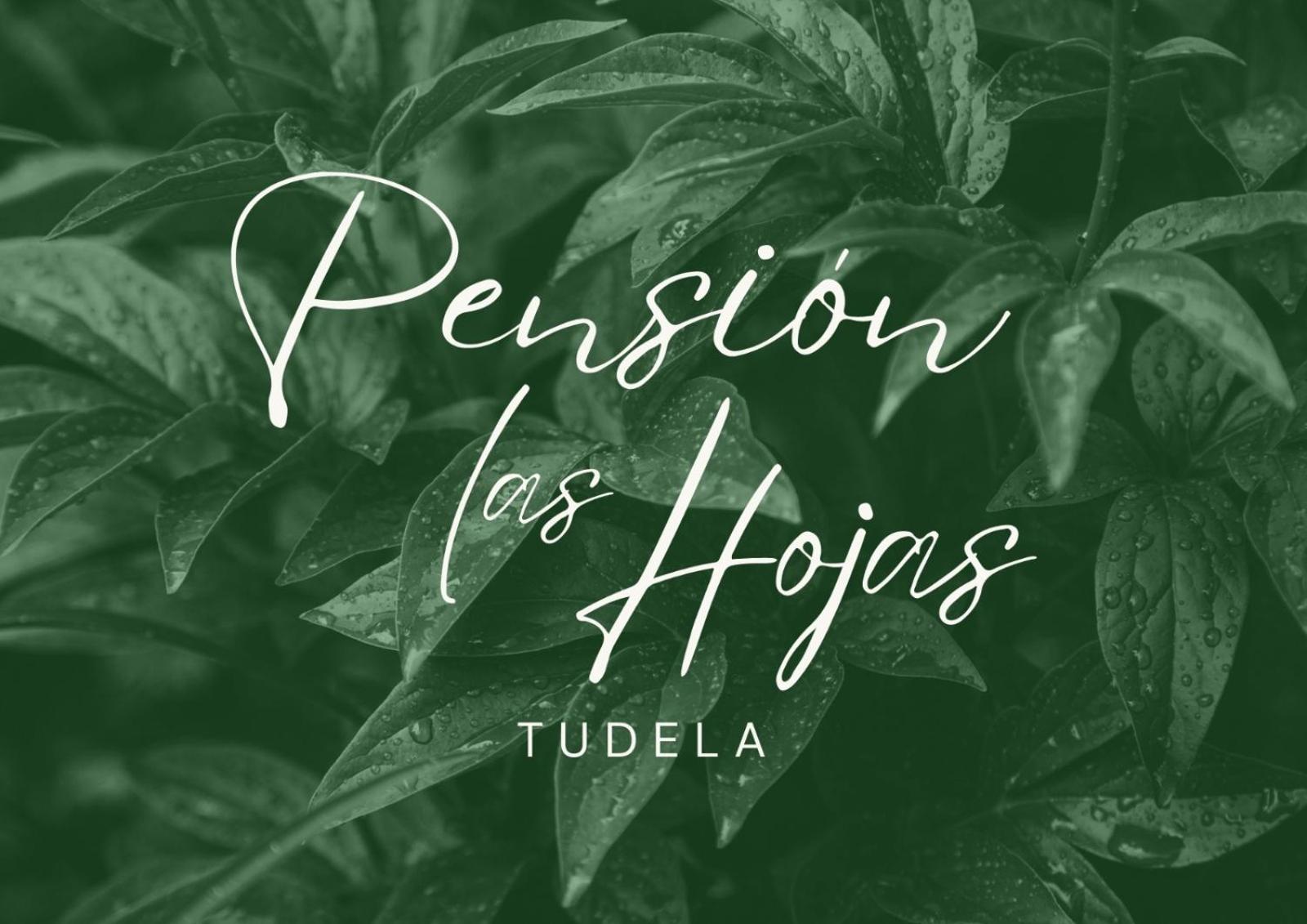 Pension Las Hojas Тудела Экстерьер фото